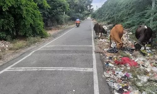 குவிந்து கிடக்கும் குப்பை குவிந்து கிடக்கும் குப்பை