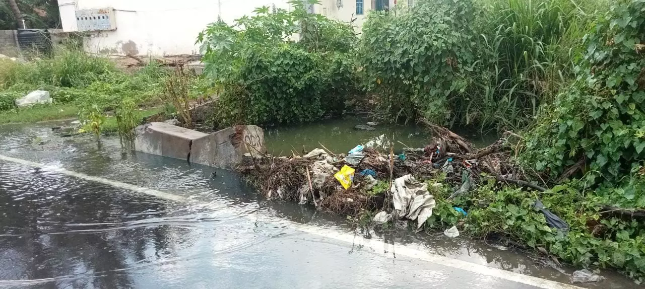 சாலையில் ஆறாக ஓடும் கழிவுநீர் சாலையில் ஆறாக ஓடும் கழிவுநீர்