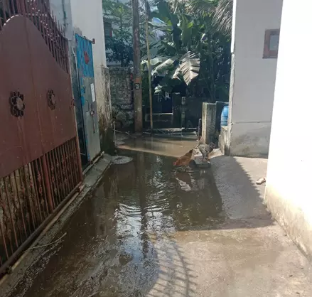 தொற்றுநோய் பரவும் அபாயம் தொற்றுநோய் பரவும் அபாயம்