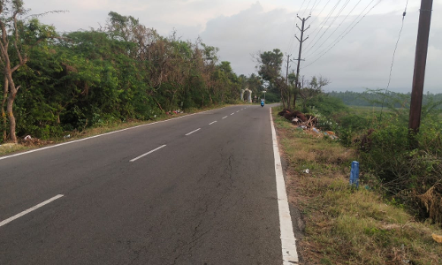 முட்புதர்கள் அகற்றப்பட்டது முட்புதர்கள் அகற்றப்பட்டது