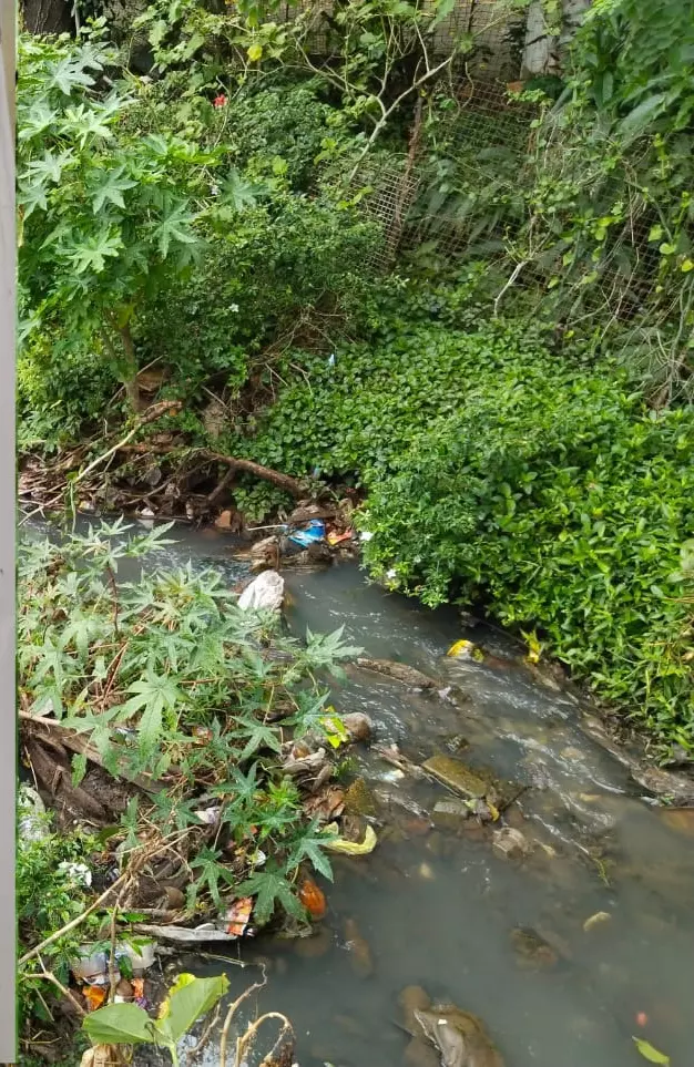 ஓடையை பராமரிக்க வேண்டும் ஓடையை பராமரிக்க வேண்டும்