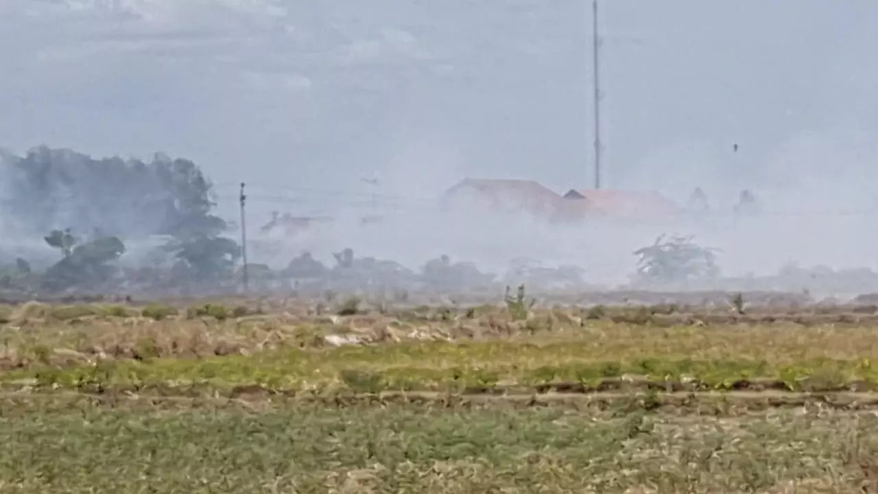 குப்பைகிடங்கு இடம் மாற்றப்படுமா? குப்பைகிடங்கு இடம் மாற்றப்படுமா?