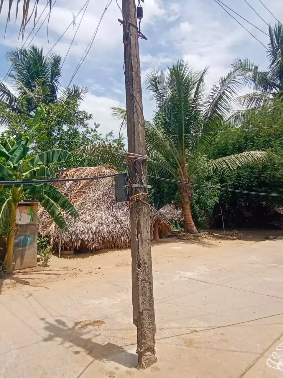 எலும்புக்கூடான மின்கம்பம்