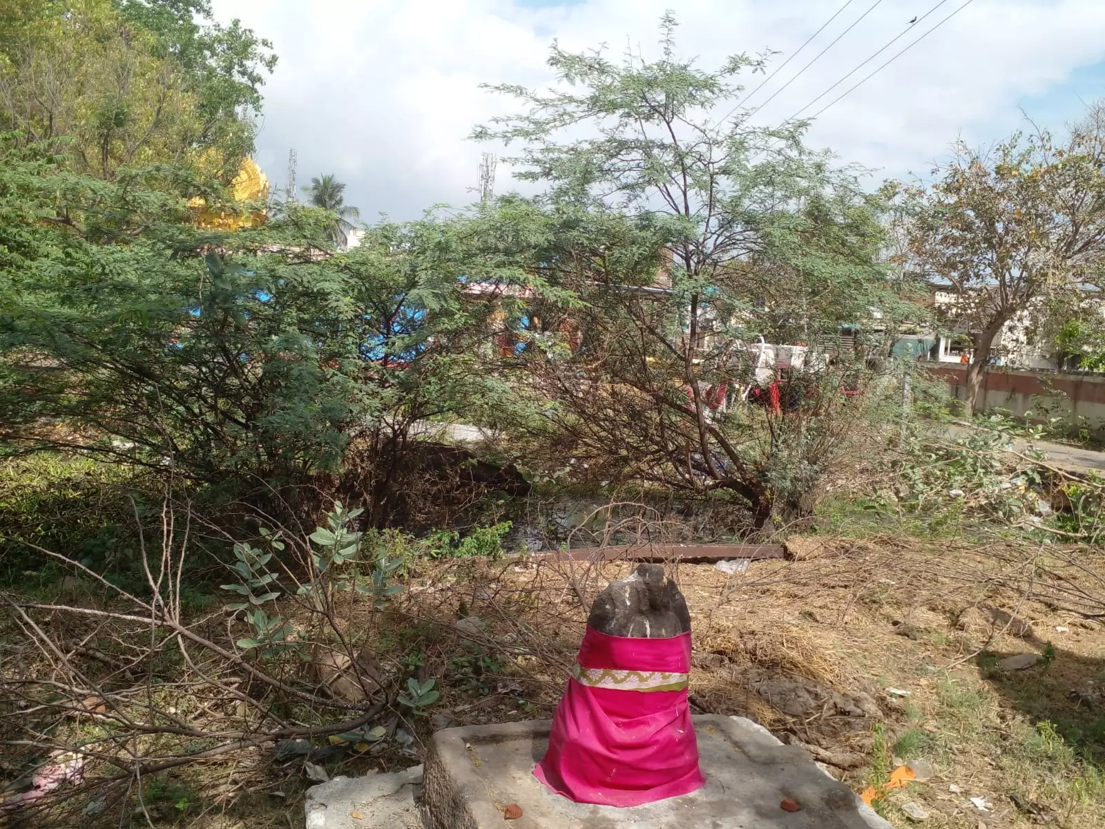 ஏரியில் கழிவுகள் ஏரியில் கழிவுகள்