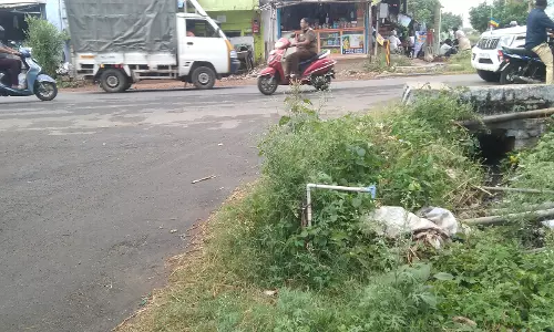 செடிகள் அப்புறப்படுத்தப்படுமா? செடிகள் அப்புறப்படுத்தப்படுமா?