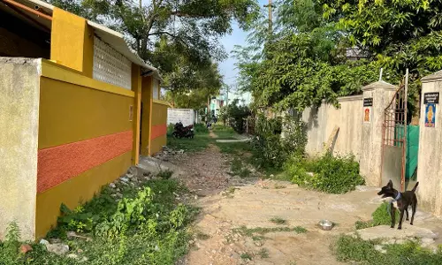 நடவடிக்கை எடுக்கப்படுமா? நடவடிக்கை எடுக்கப்படுமா?