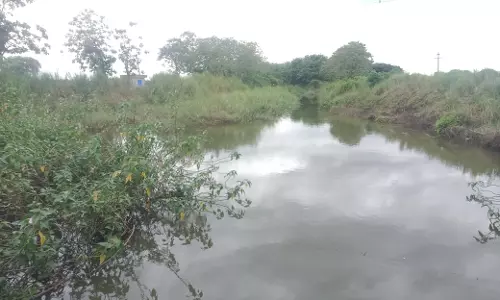 புதர்மண்டி கிடக்கும் மஞ்சள்ஆறு