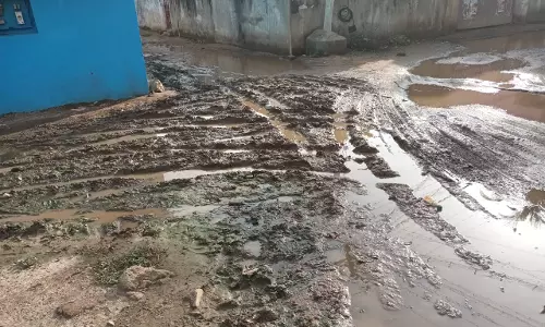 சாலை எங்கே ? சாலை எங்கே ?