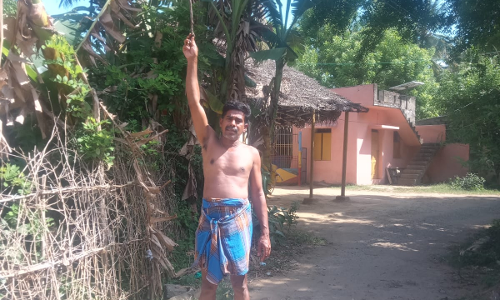 தாழ்வாக செல்லும் மின்கம்பிகள்