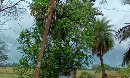 ஆபத்தான மின்கம்பம்