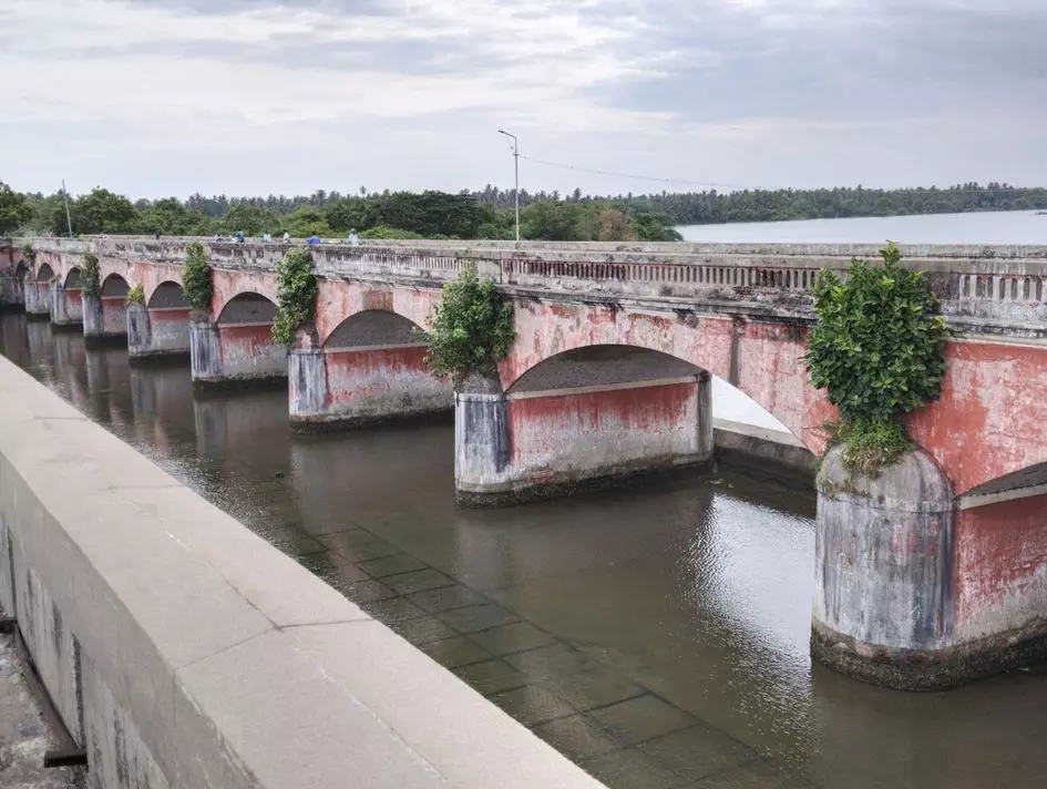 பராமரிப்பு இல்லாத பாலம் பராமரிப்பு இல்லாத பாலம்