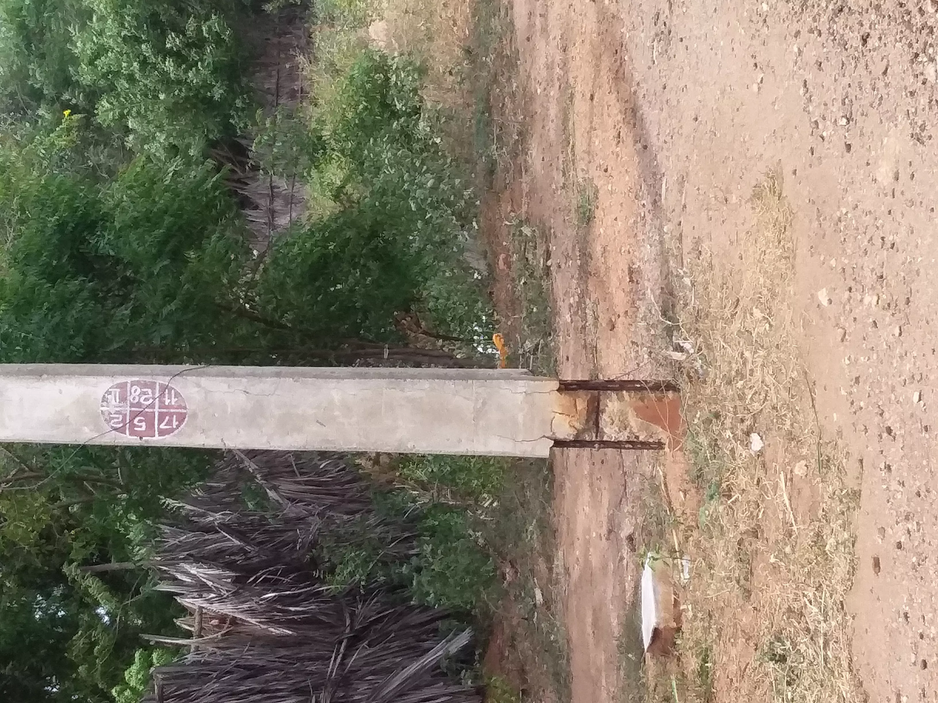 உயிர்பலி வாங்க காத்திருக்கும் மின்கம்பம் உயிர்பலி வாங்க காத்திருக்கும் மின்கம்பம்