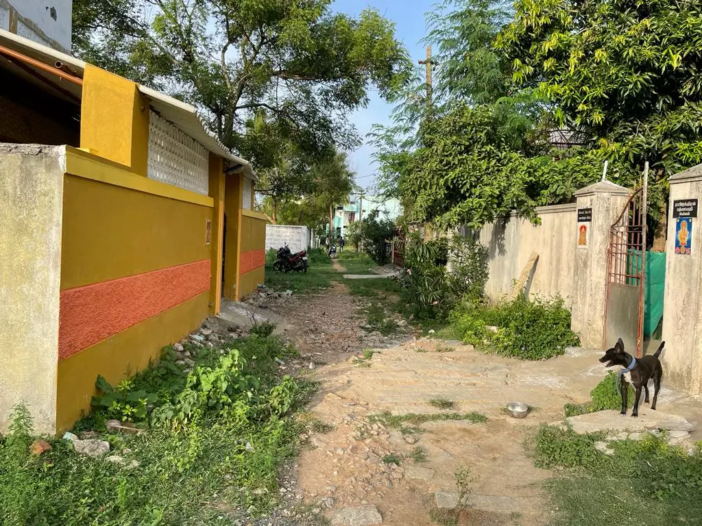 நடவடிக்கை எடுக்கப்படுமா? நடவடிக்கை எடுக்கப்படுமா?