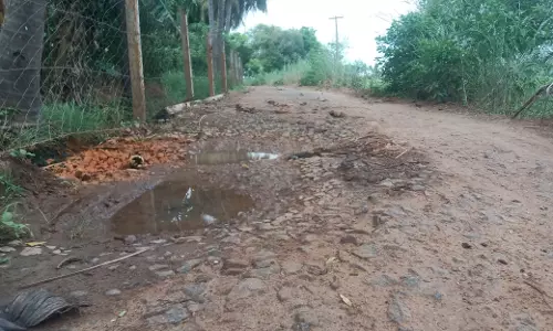 குண்டும், குழியுமான சாலை