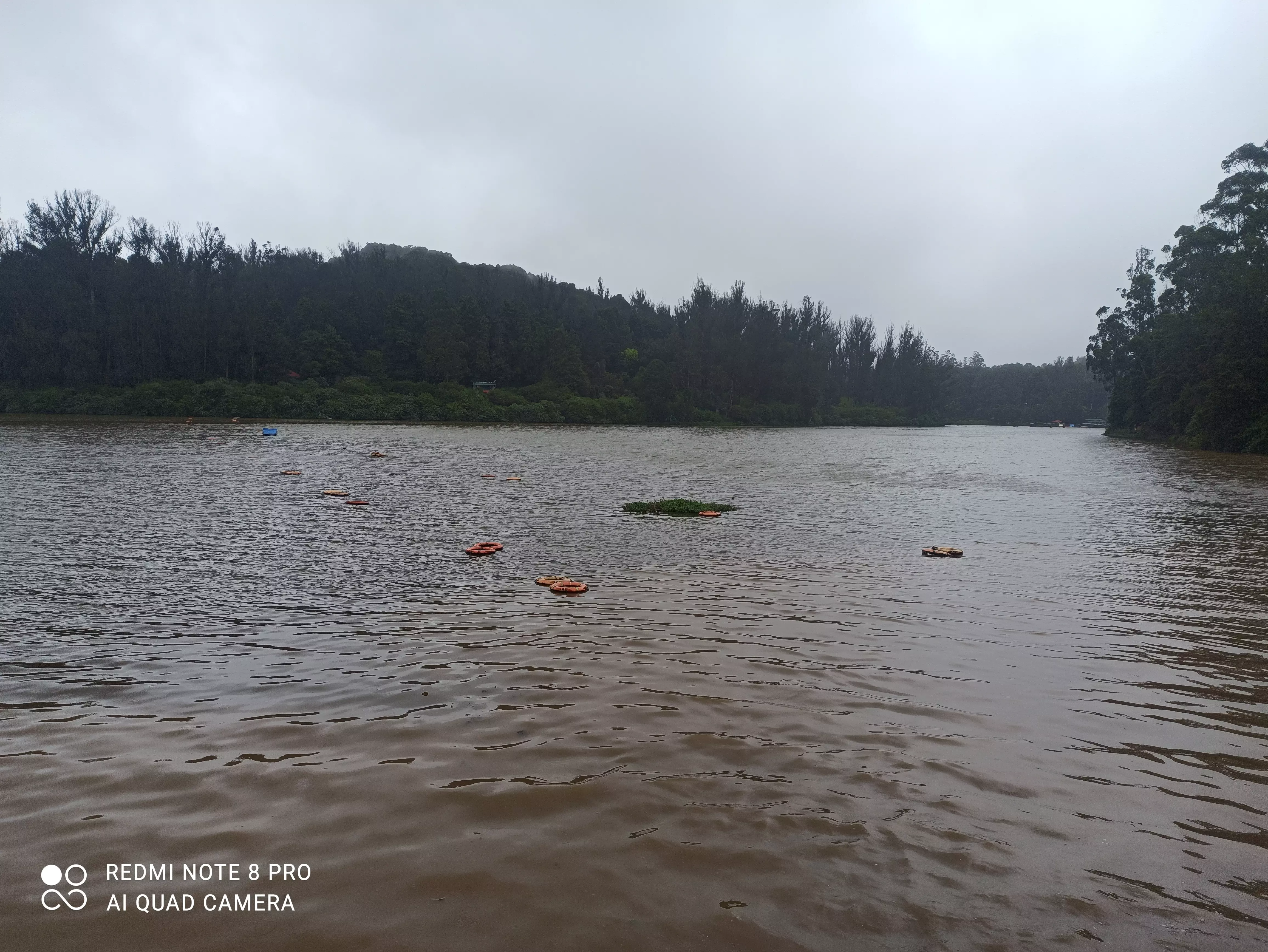 ஊட்டி ஏரி தூர்வாரப்படுமா?