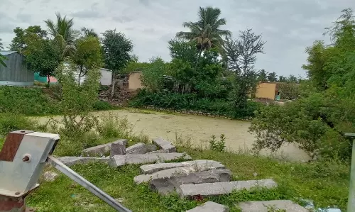 குளத்தை சீரமைக்க வேண்டும்