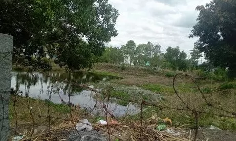 குளம் தூர்வாரப்படுமா? குளம் தூர்வாரப்படுமா?