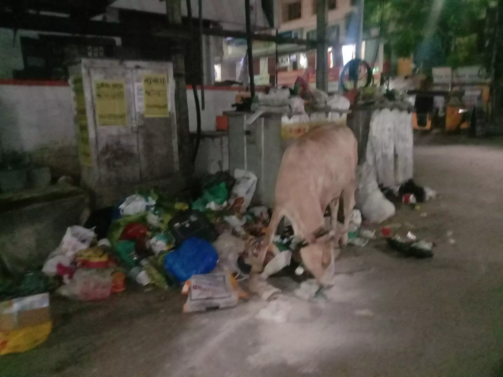 தீர்வு எப்போது ?