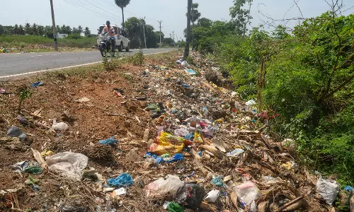 குப்பைகள் அகற்றப்படுமா?