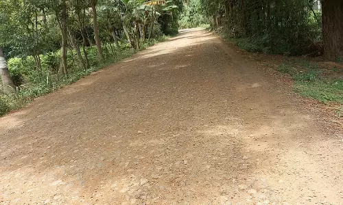 குண்டும், குழியுமான சாலை