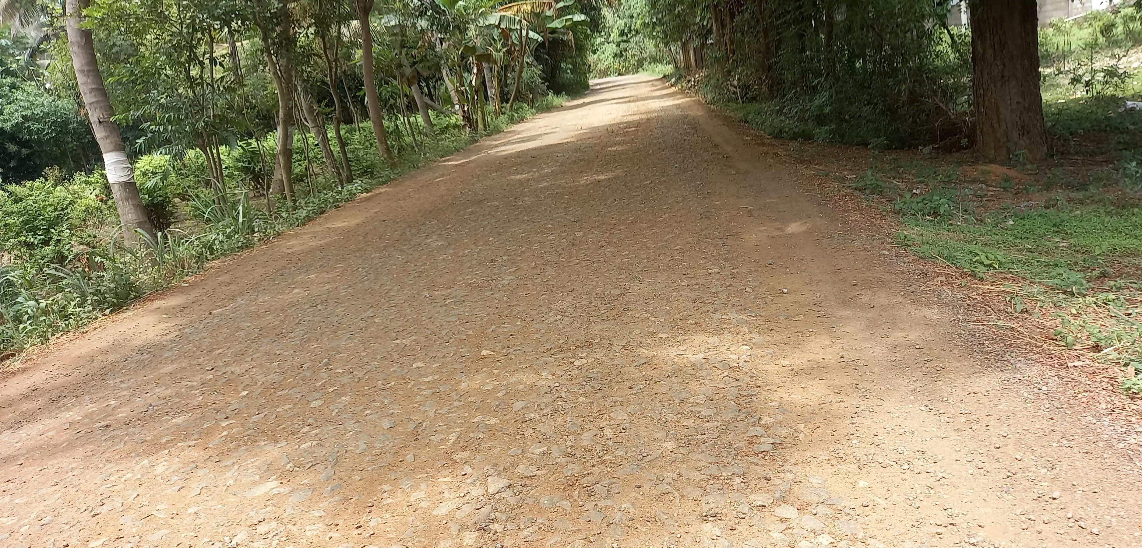 குண்டும், குழியுமான சாலை