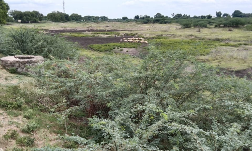 சேதமடைந்த கண்மாய் மதகு