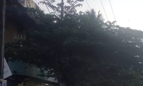 மின்விளக்குகள் அமைக்கப்படுமா?