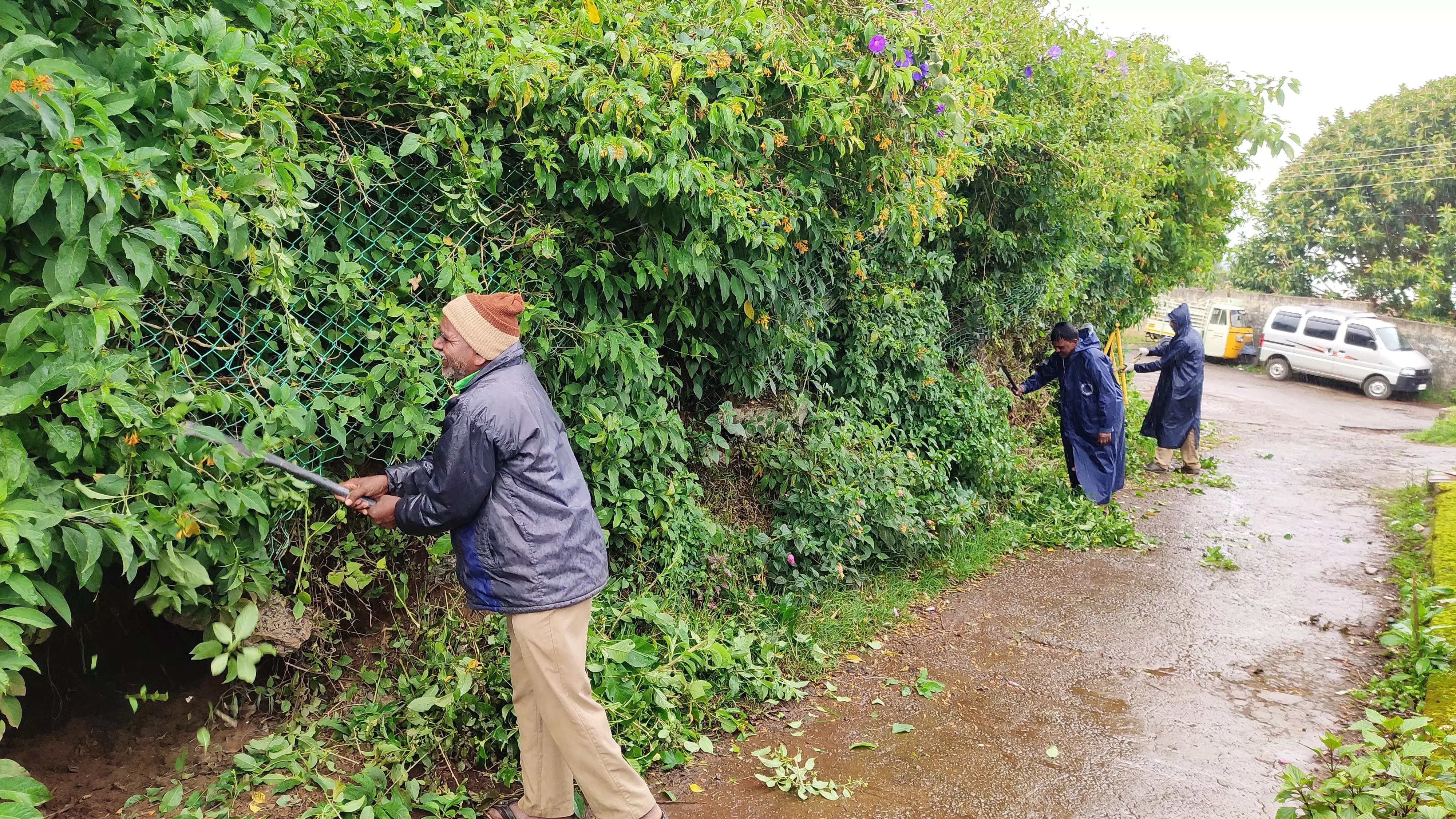 தினத்தந்தி செய்தி எதிரொலி புதர்ச் செடிகள் வெட்டி அகற்றம் தினத்தந்தி செய்தி எதிரொலி புதர்ச் செடிகள் வெட்டி அகற்றம்