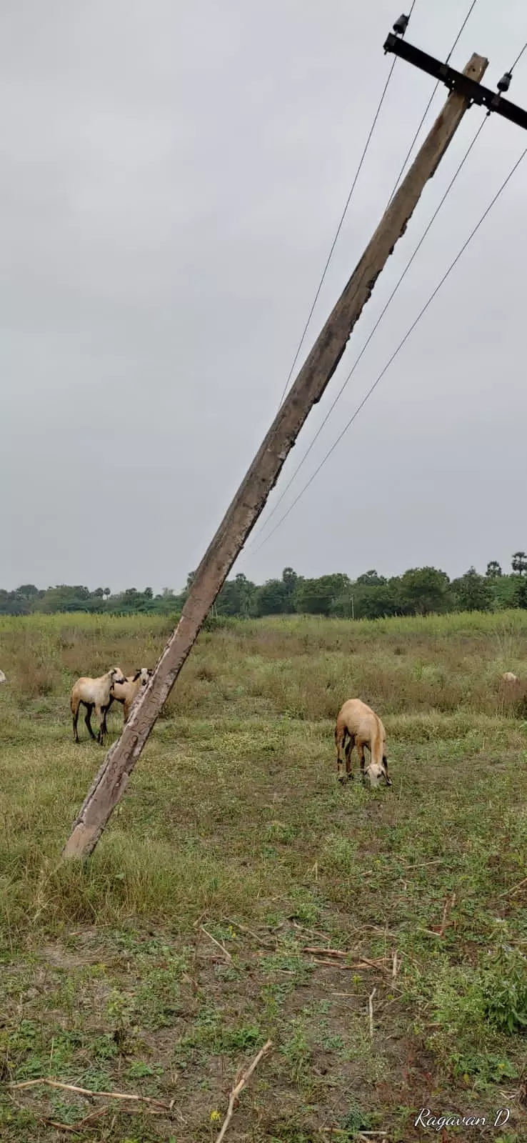 ஆபத்தான மின் கம்பம் ஆபத்தான மின் கம்பம்