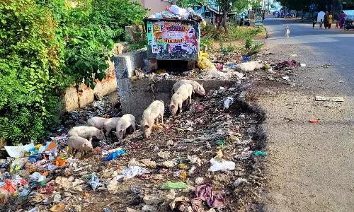 குப்பைகளால் சுகாதார சீர்கேடு குப்பைகளால் சுகாதார சீர்கேடு