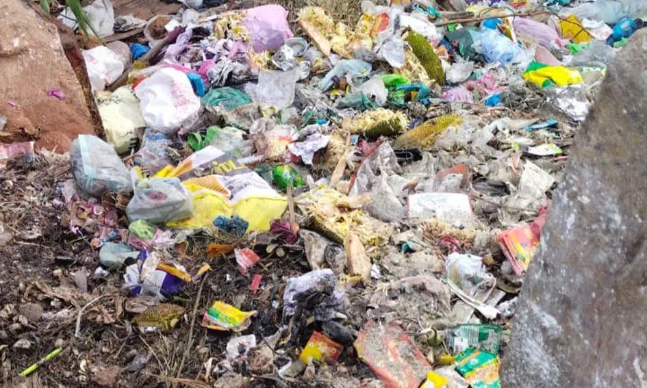 பாலத்தின் அருகே குப்பைகள்