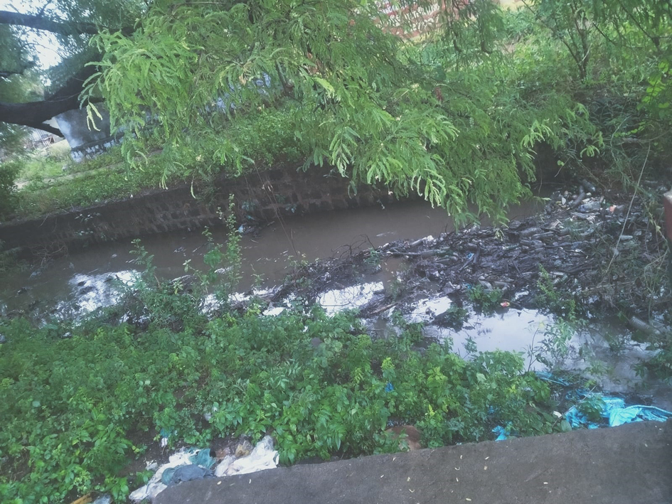 சாக்கடை கால்வாய் தூர்வாரப்படவில்லை