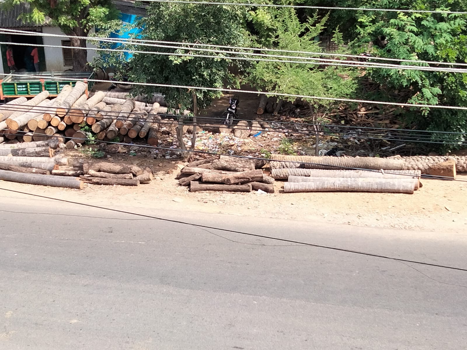 சாலையோரத்தில் வெட்டிய மரங்கள்