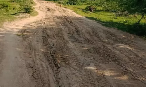 சாலை வசதி வேண்டும்