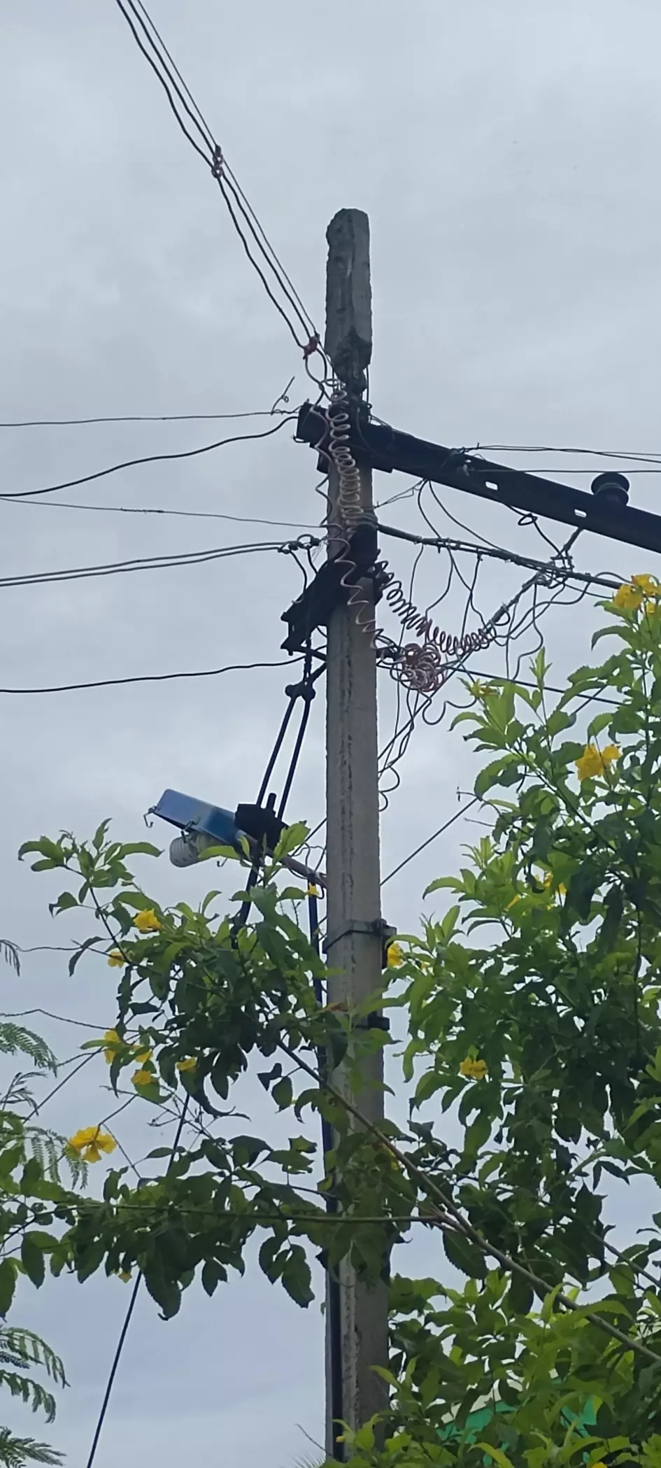 மின்கம்பம் சேதம்