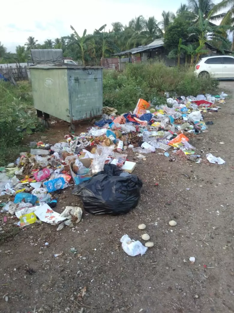 குப்பை அகற்றப்படுமா?