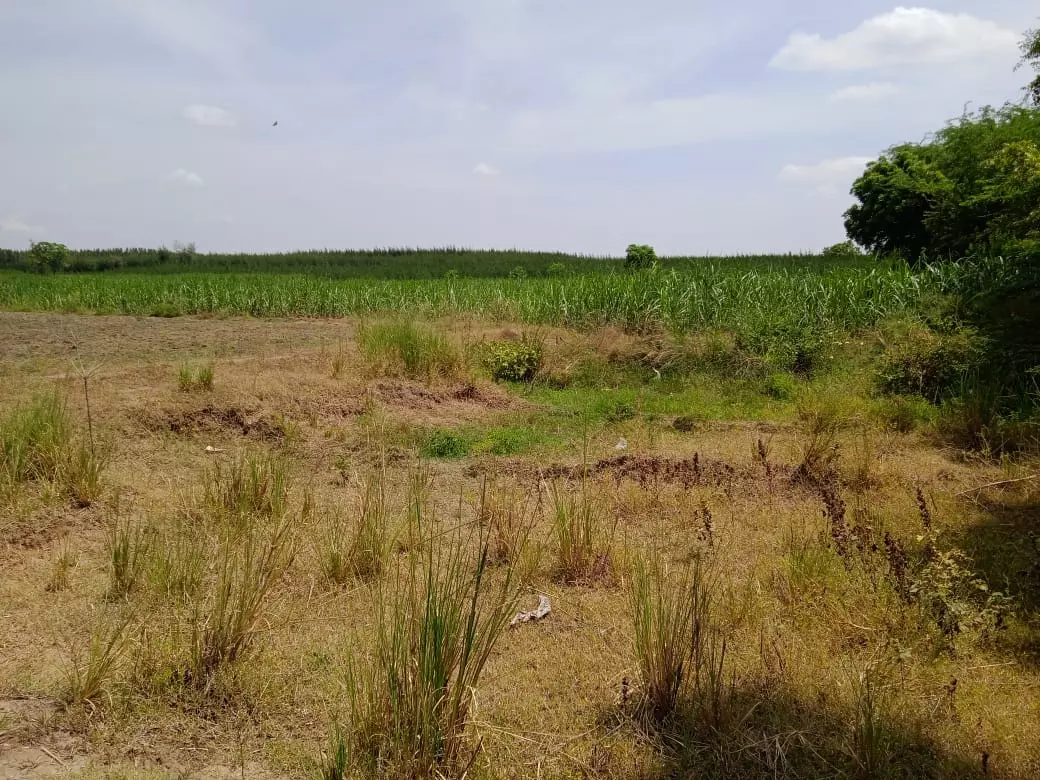 ஏரி ஆக்கிரமிப்பு அகற்றப்படுமா? ஏரி ஆக்கிரமிப்பு அகற்றப்படுமா?