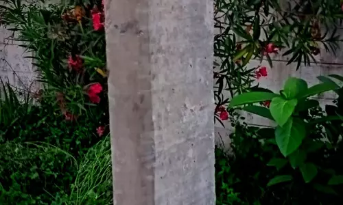 புதிய மின்கம்பம் பொருத்தப்பட்டது புதிய மின்கம்பம் பொருத்தப்பட்டது