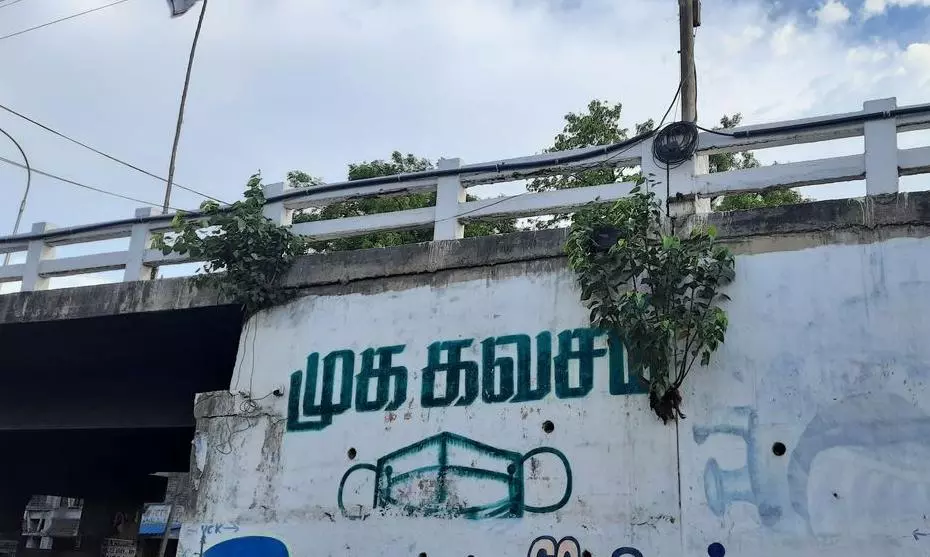 மேம்பாலத்தை பலவீனமாக்கும் செடிகள் மேம்பாலத்தை பலவீனமாக்கும் செடிகள்