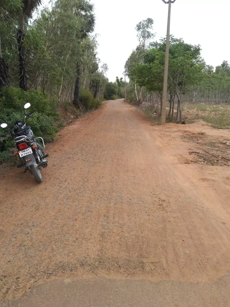 குண்டும், குழியுமான சாலை