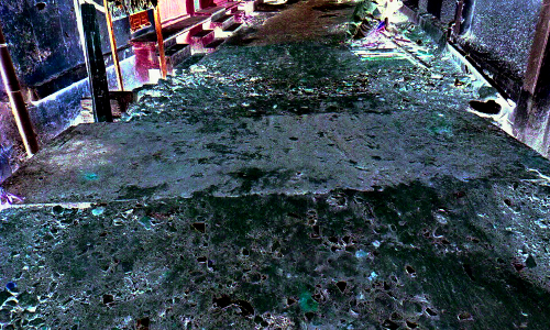 தினத்தந்திக்கு பாராட்டு தினத்தந்திக்கு பாராட்டு