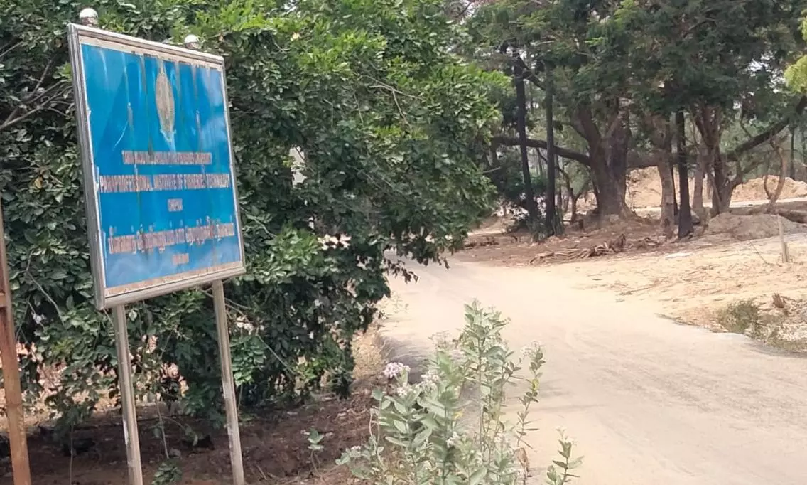 சாலை வசதி வேண்டி விண்ணப்பம்