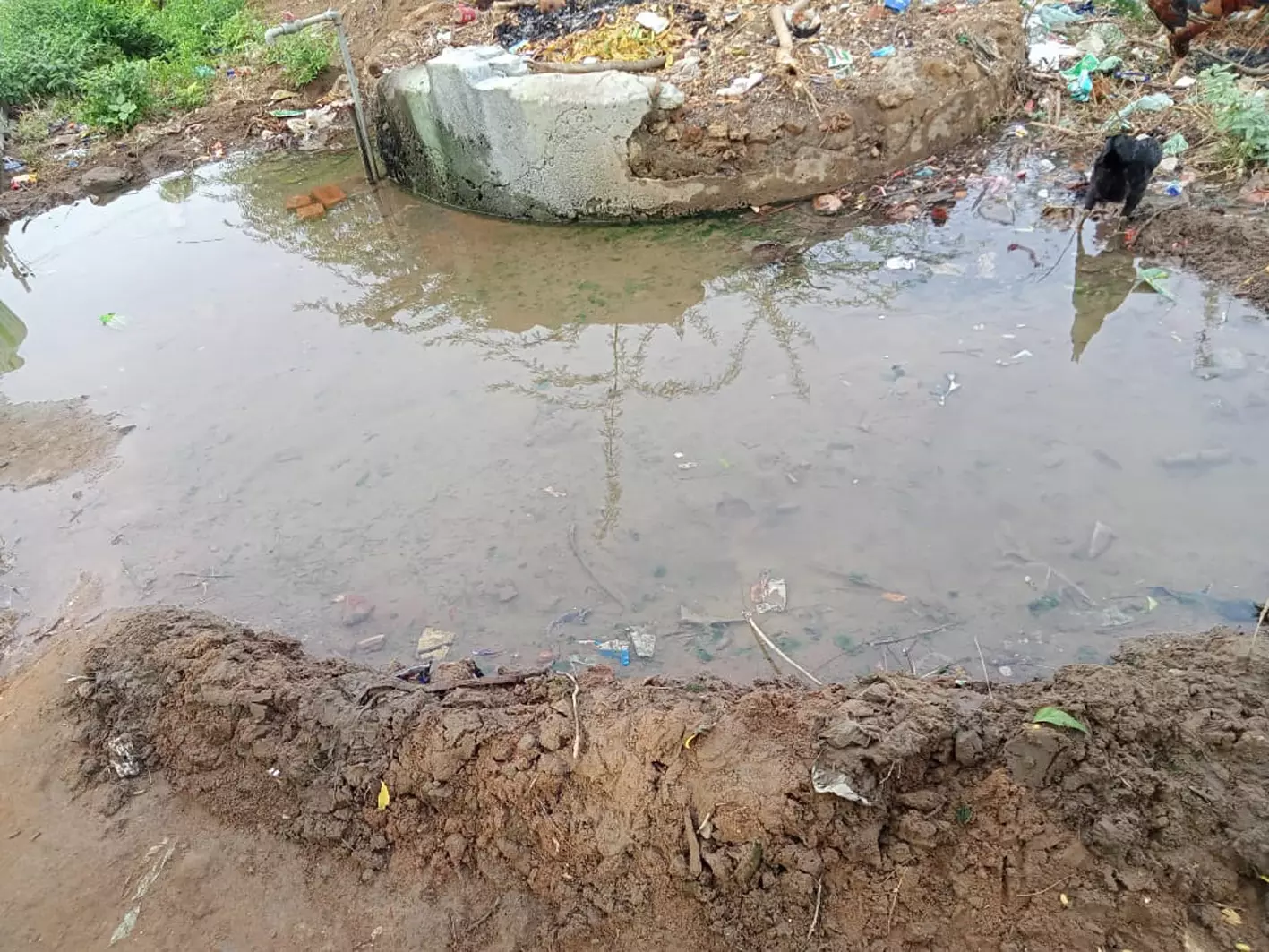 தெருகுழாயை சூழ்ந்த தண்ணீர்