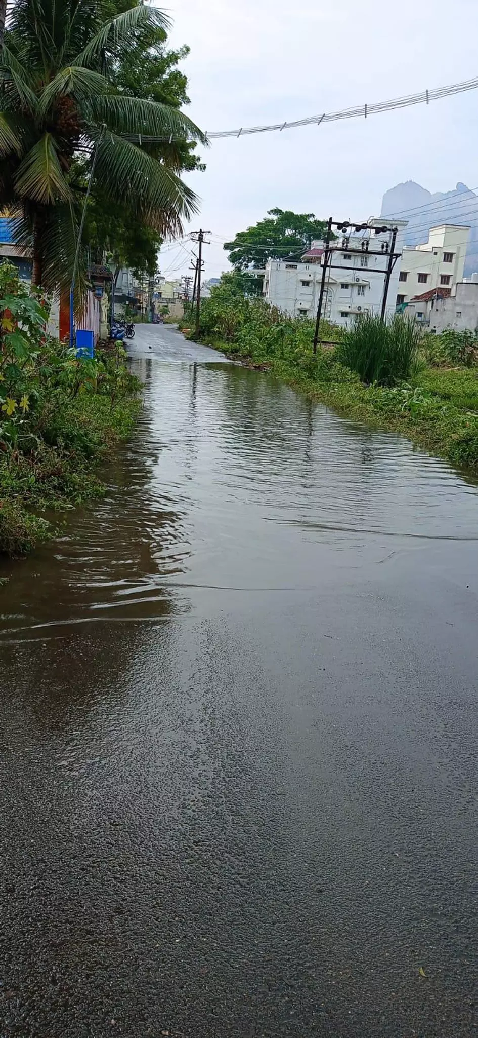 சாலையில் ஓடும் கழிவுநீர்