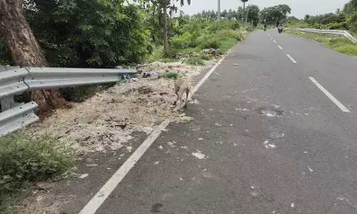 கோழி கழிவுகளால் நோய் பரவும் அபாயம்