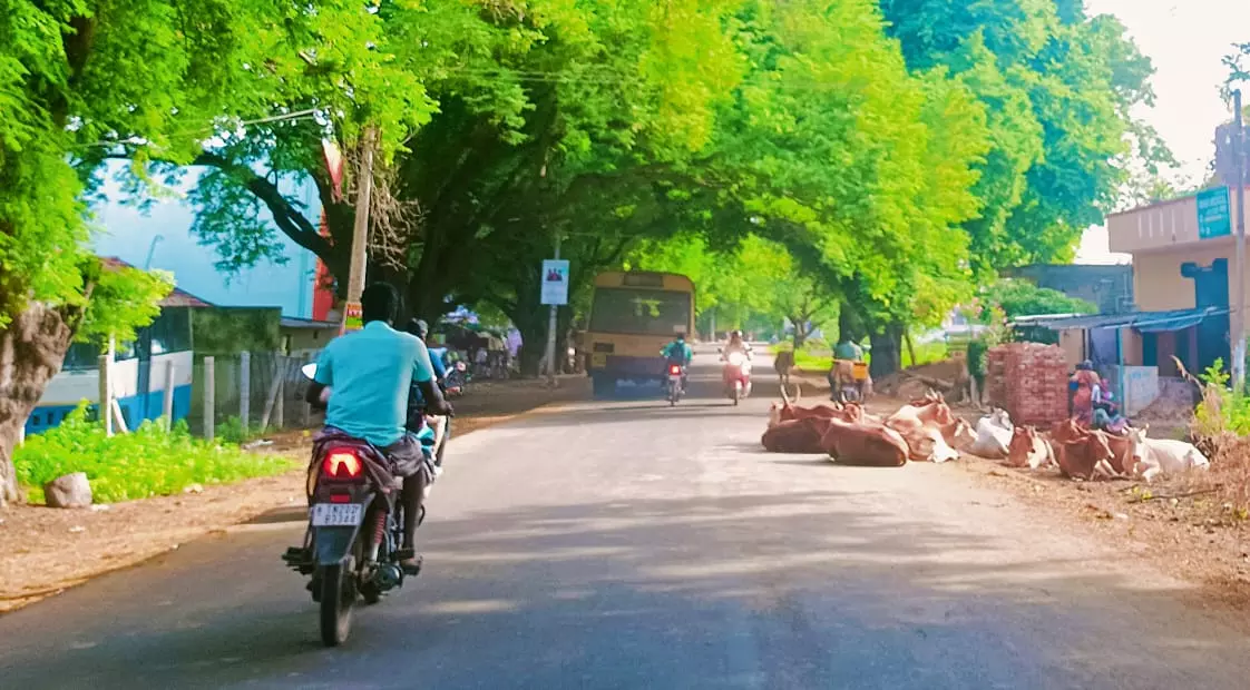 போக்குவரத்துக்கு இடையூறு போக்குவரத்துக்கு இடையூறு