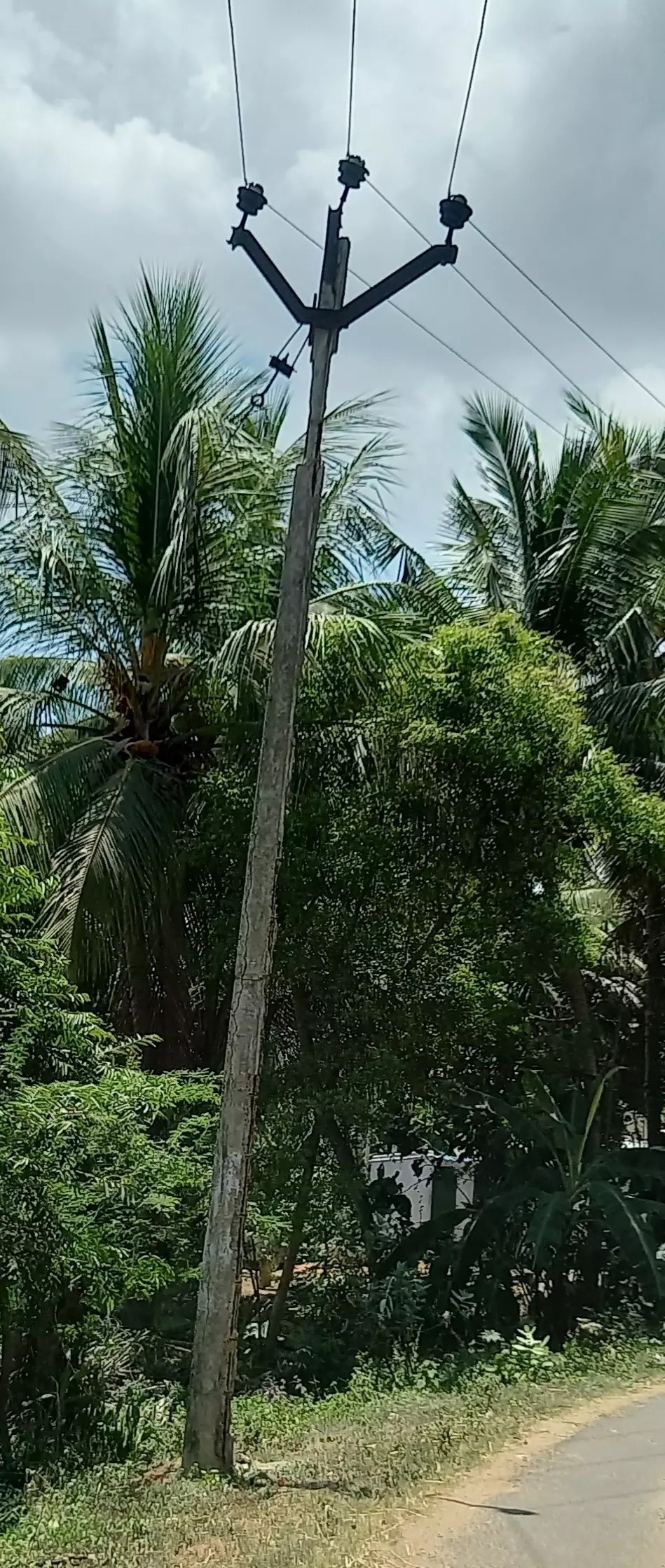 ஆபத்தான மின்கம்பம்