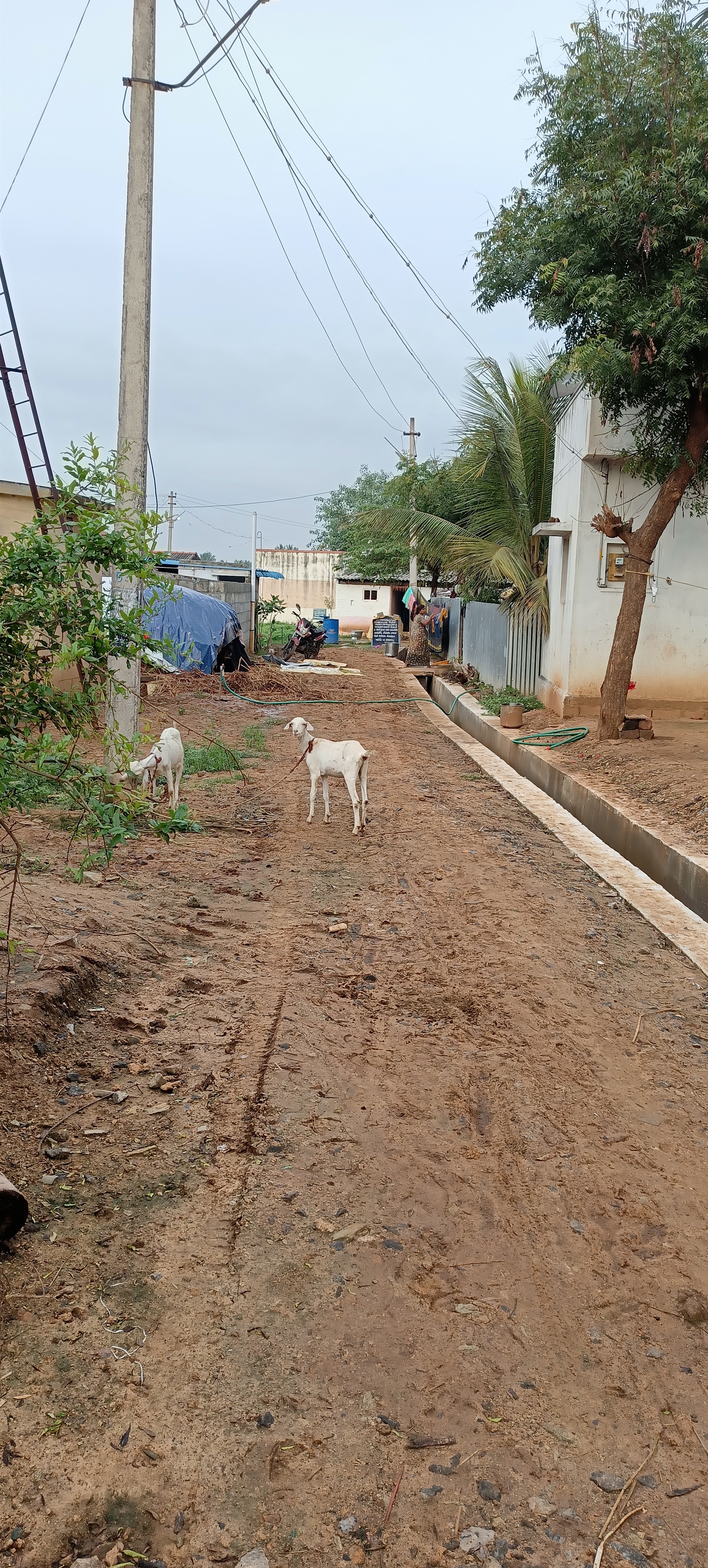 முறையாக அமைக்கப்படாத சாலை