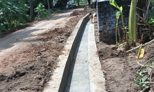 பாராட்டு