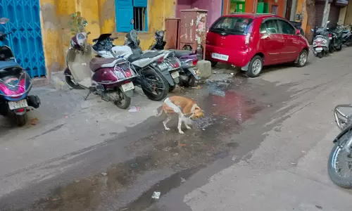 கழிவு நீர் கால்வாயில் பிரச்சினை